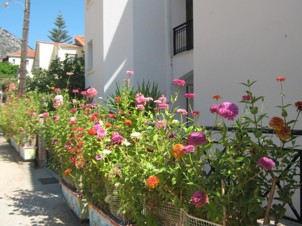 Friderica House Hotel Poros  Phòng bức ảnh