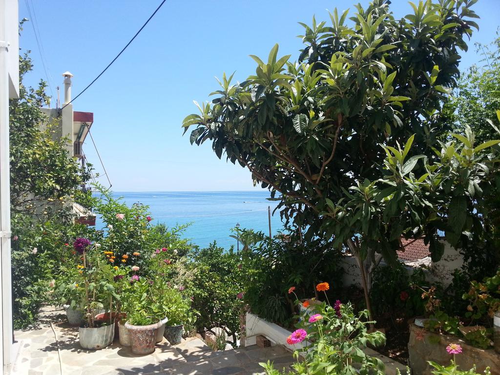 Friderica House Hotel Poros  Ngoại thất bức ảnh
